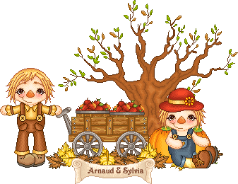 sigtags autumn 14
